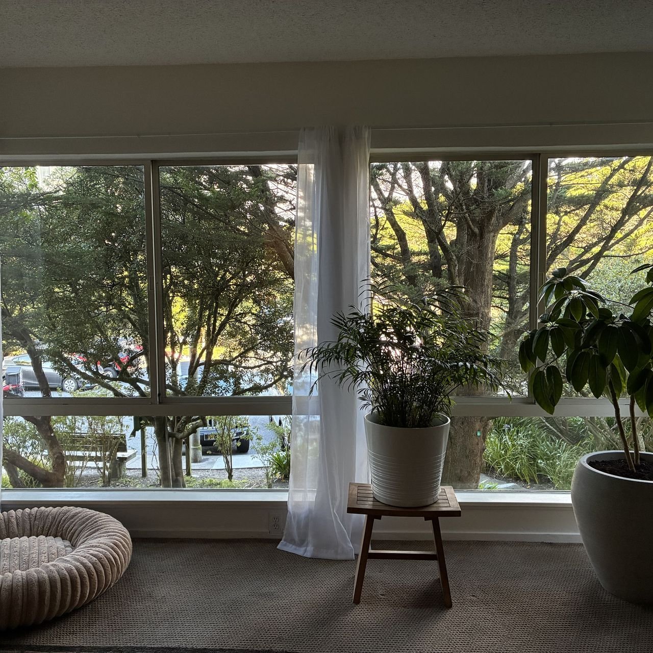 The same living room windows after cleaning, with a clear view of the trees outside