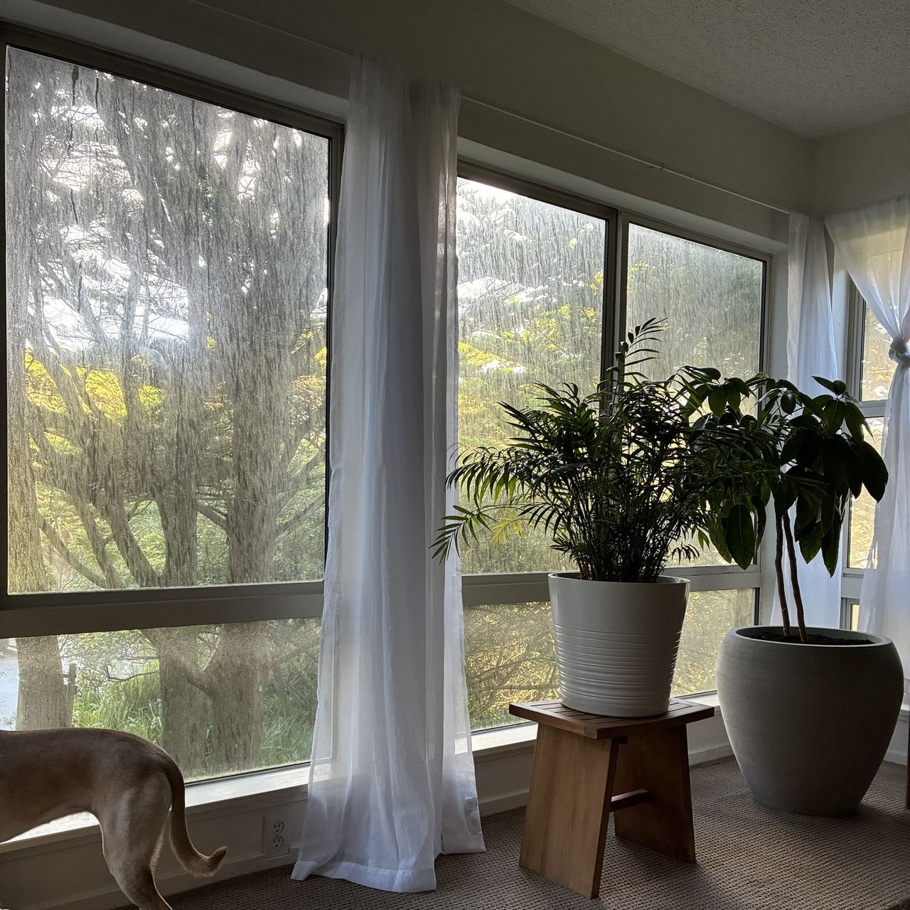 Living room windows before cleaning, covered in heavy streaks of salt and fog film